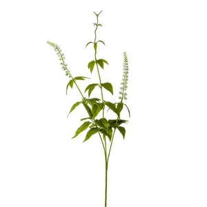 Lavendel