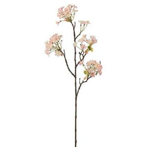 Lønnblomst