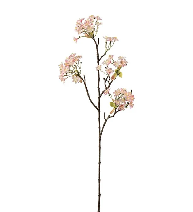 Lønnblomst