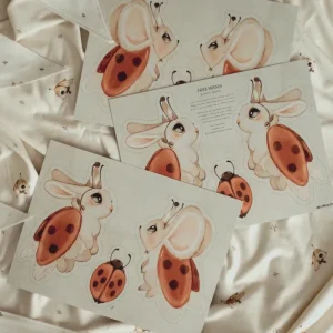 Mrs Mighetto Gjør-det-selv dekorasjon Ladybugs