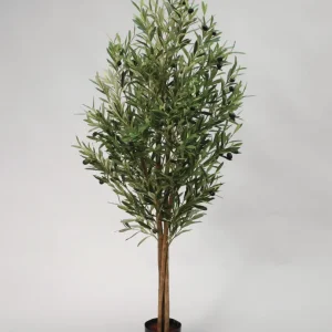 Olive 170 cm