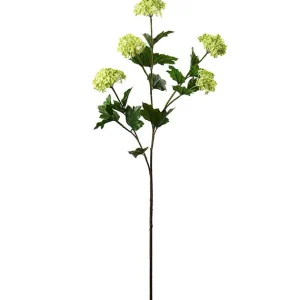 Olvon 96 cm