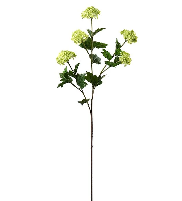 Olvon 96 cm