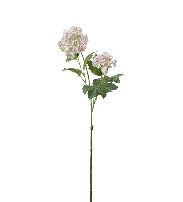 Olvon 60 cm