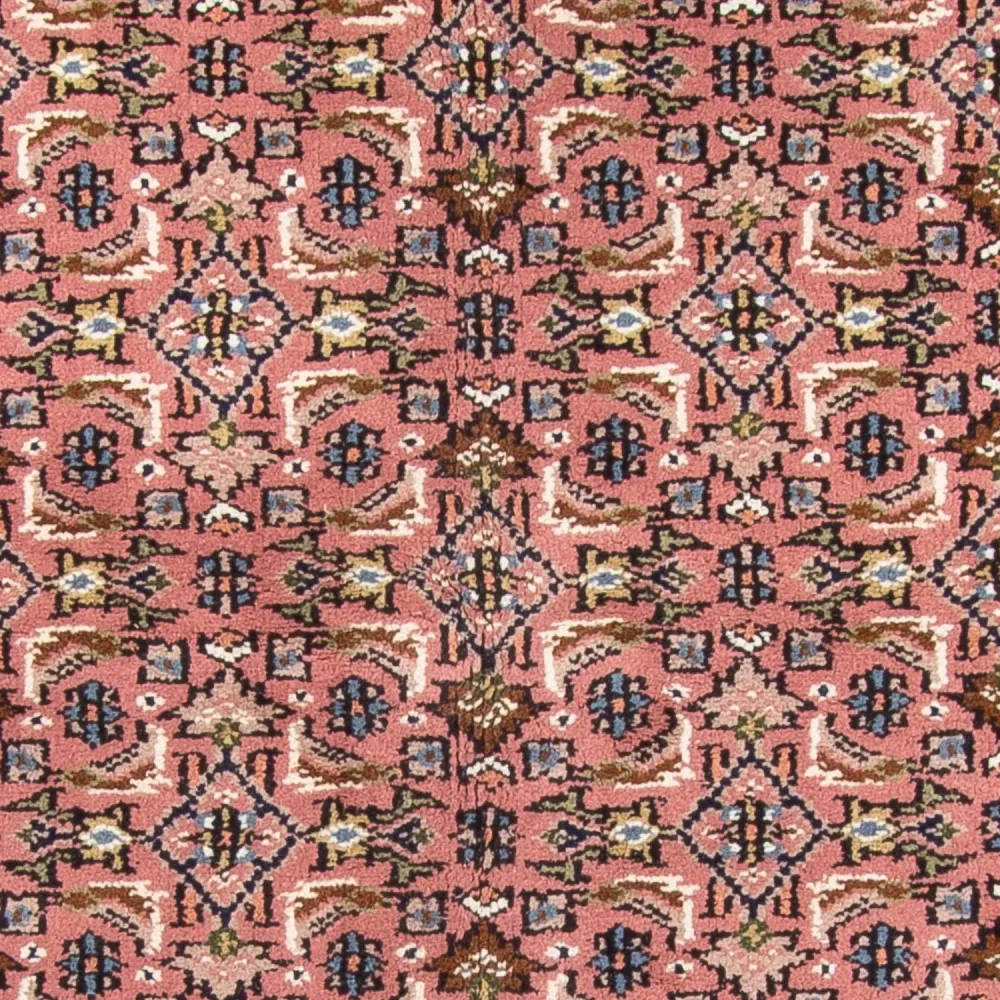 Orientalsk teppe - Bijar - Indus - 240 x 170 cm - laks