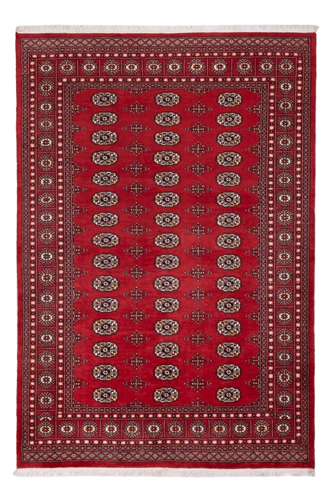 Pakistan teppe - 243 x 168 cm - rød