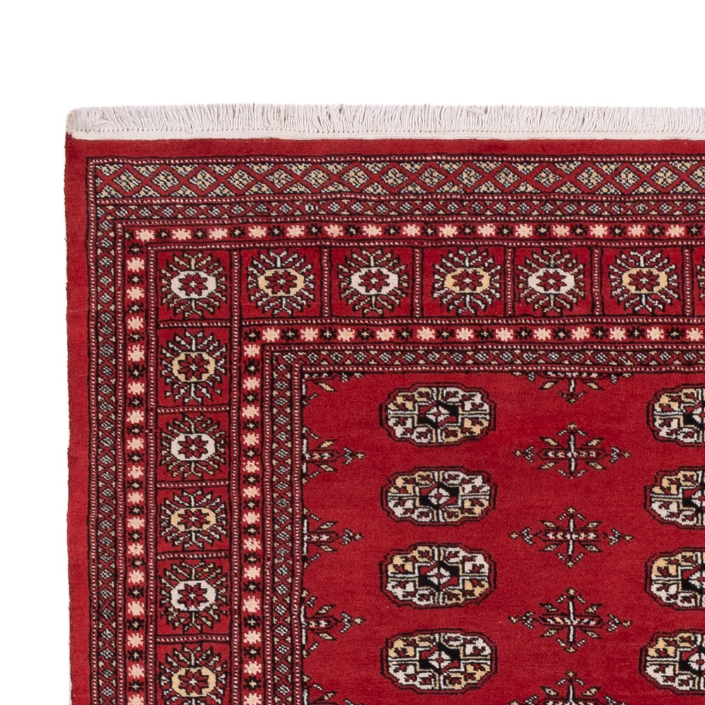 Pakistan teppe - 243 x 168 cm - rød