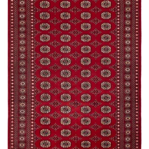 Pakistan teppe - 256 x 167 cm - rød