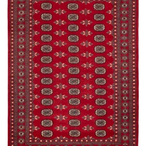 Pakistan teppe - 258 x 179 cm - rød