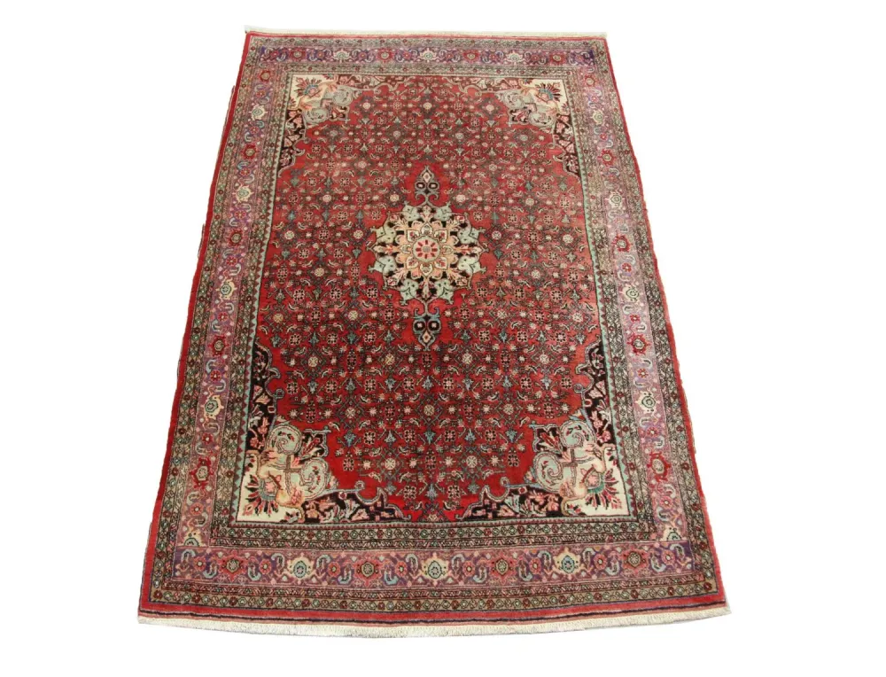 Persisk teppe - Bijar - 245 x 144 cm - brun