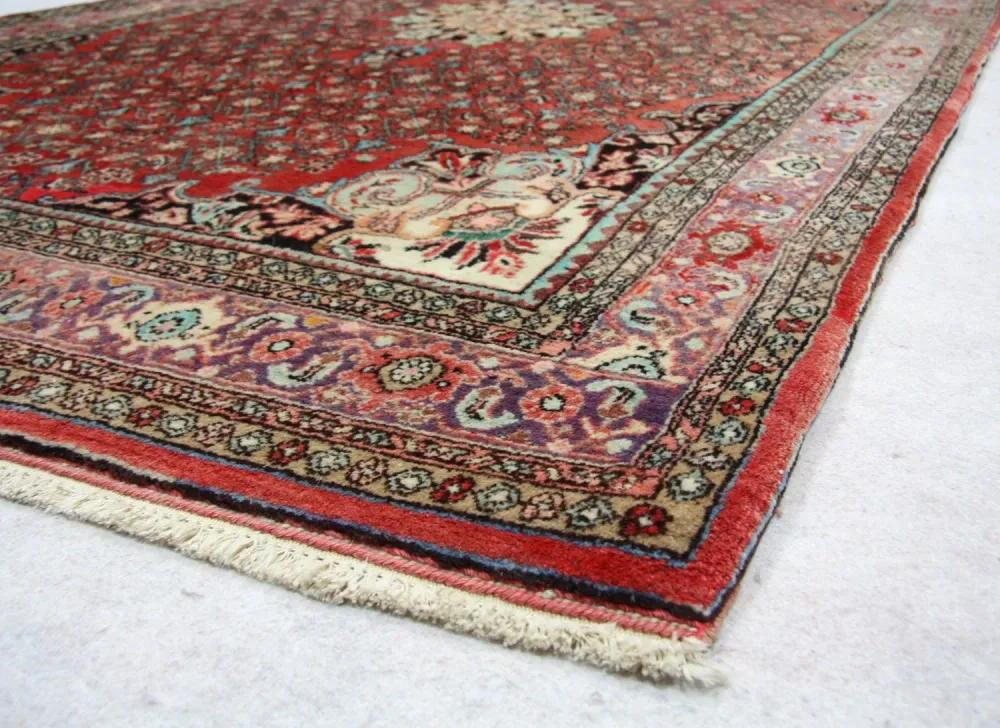 Persisk teppe - Bijar - 245 x 144 cm - brun