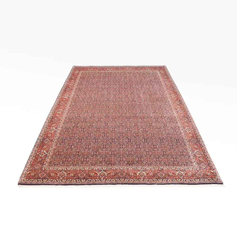Persisk teppe - Bijar - 305 x 203 cm - rust