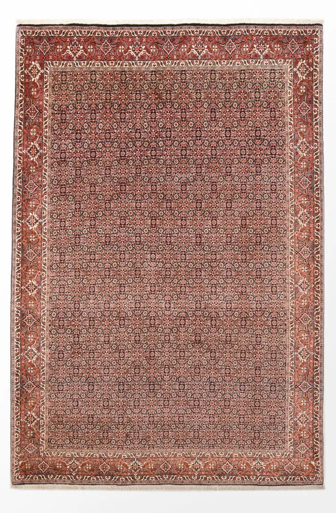 Persisk teppe - Bijar - 305 x 203 cm - rust