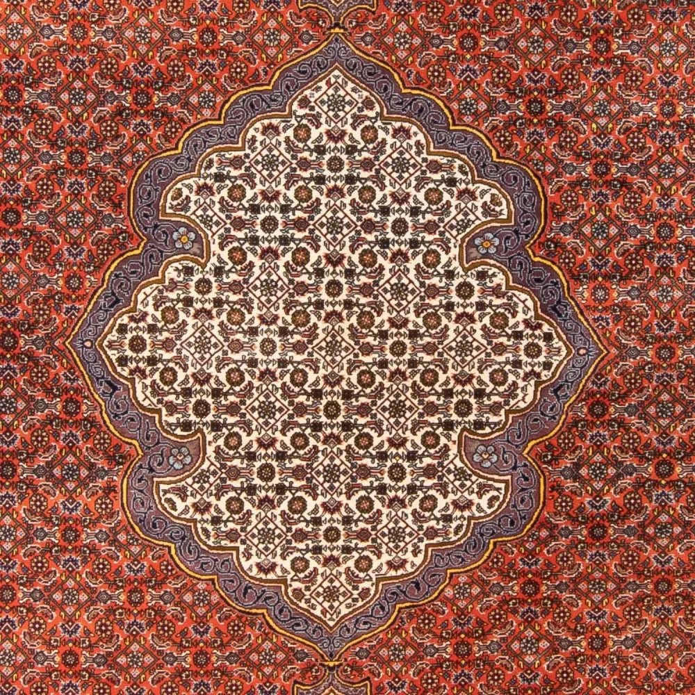 Persisk teppe - Bijar - 312 x 205 cm - oransje