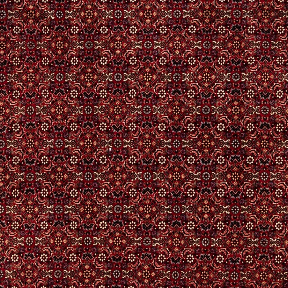 Persisk teppe - Bijar - 350 x 250 cm - rød