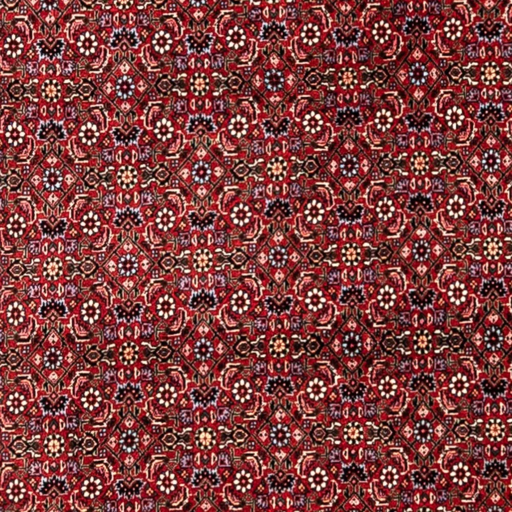 Persisk teppe - Bijar - Royal - 331 x 254 cm - rød