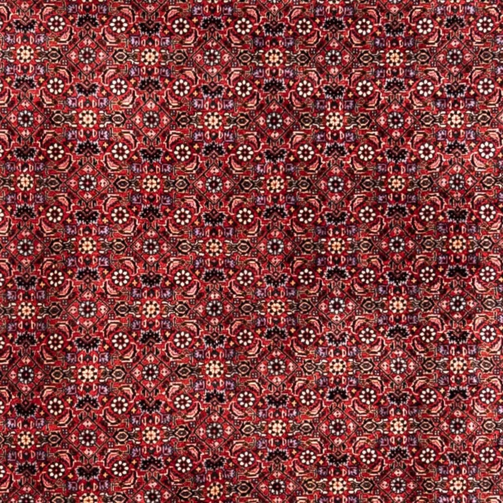 Persisk teppe - Bijar - Royal - 338 x 250 cm - rød