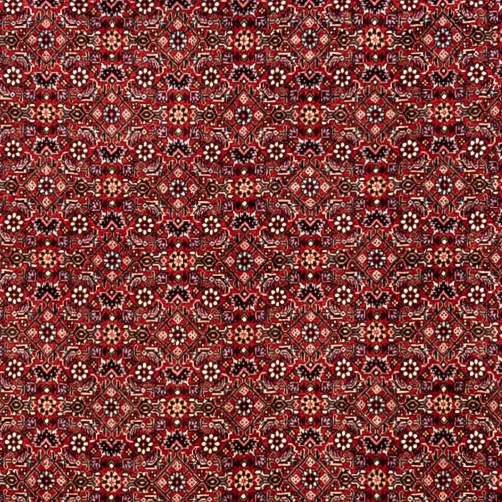 Persisk teppe - Bijar - Royal - 340 x 248 cm - rød