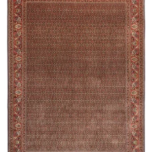 Persisk teppe - Bijar - Royal - 342 x 252 cm - terrakotta