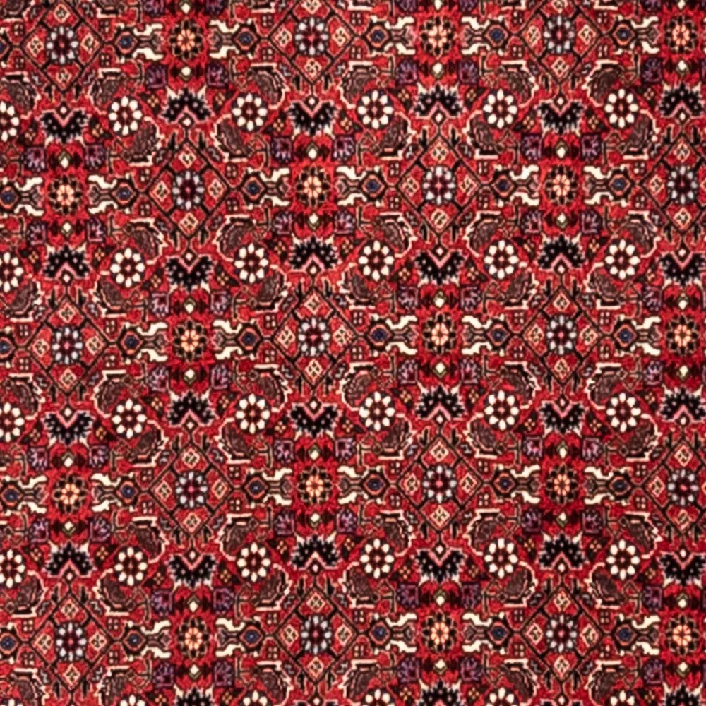 Persisk teppe - Bijar - Royal - 345 x 253 cm - rød