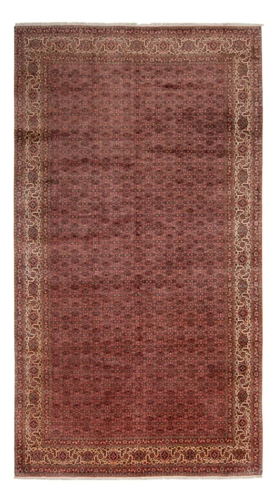 Persisk teppe - Bijar - Royal - 482 x 256 cm - brun