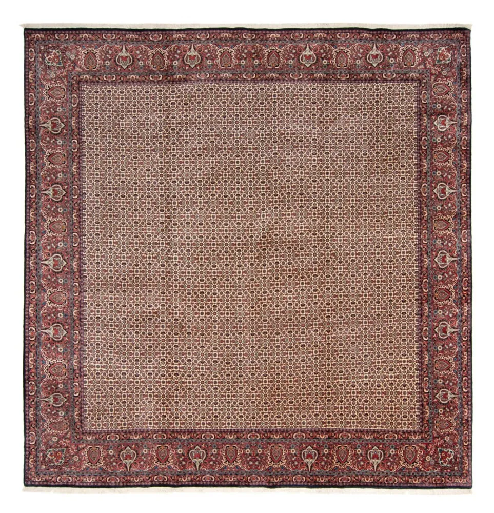 Persisk teppe - Bijar - Royal square - 366 x 348 cm - beige