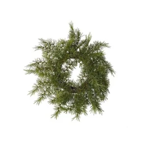 PLANTE - Lerkekrans