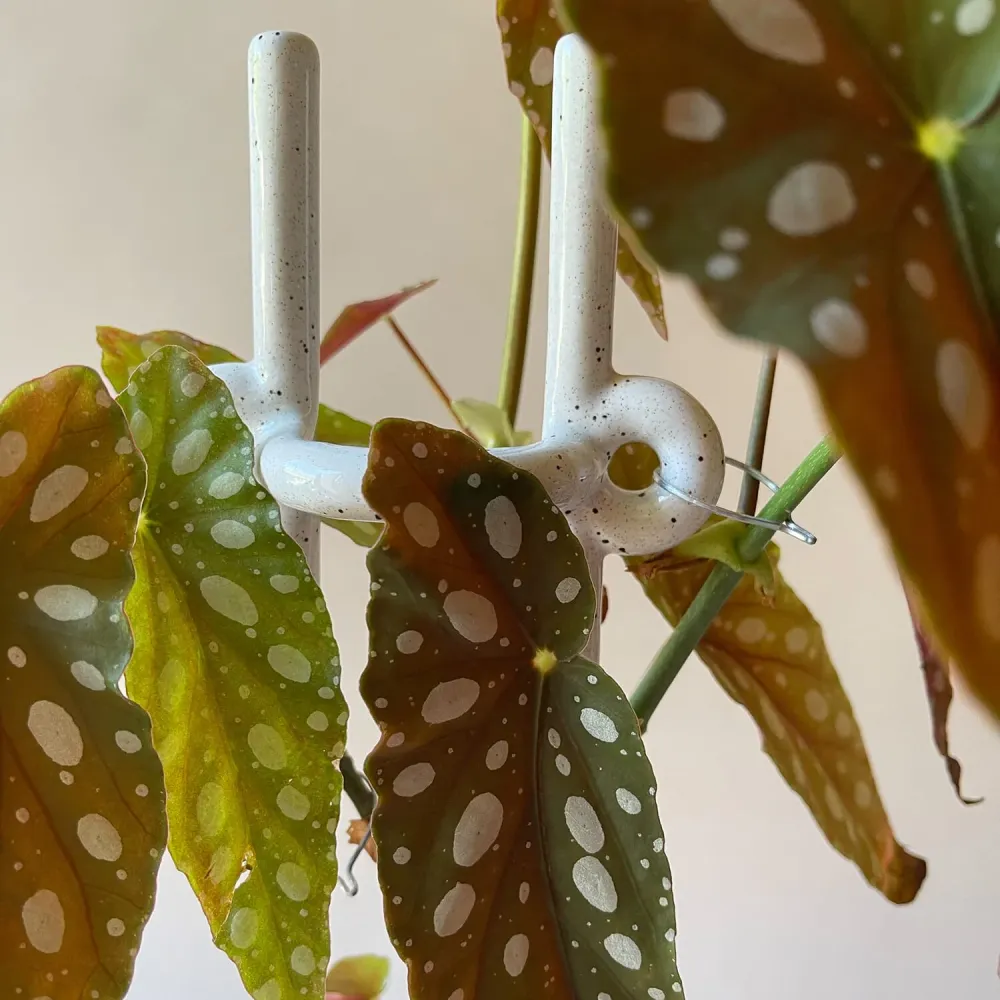 Plantepinne Folk Hinto: Pebble White