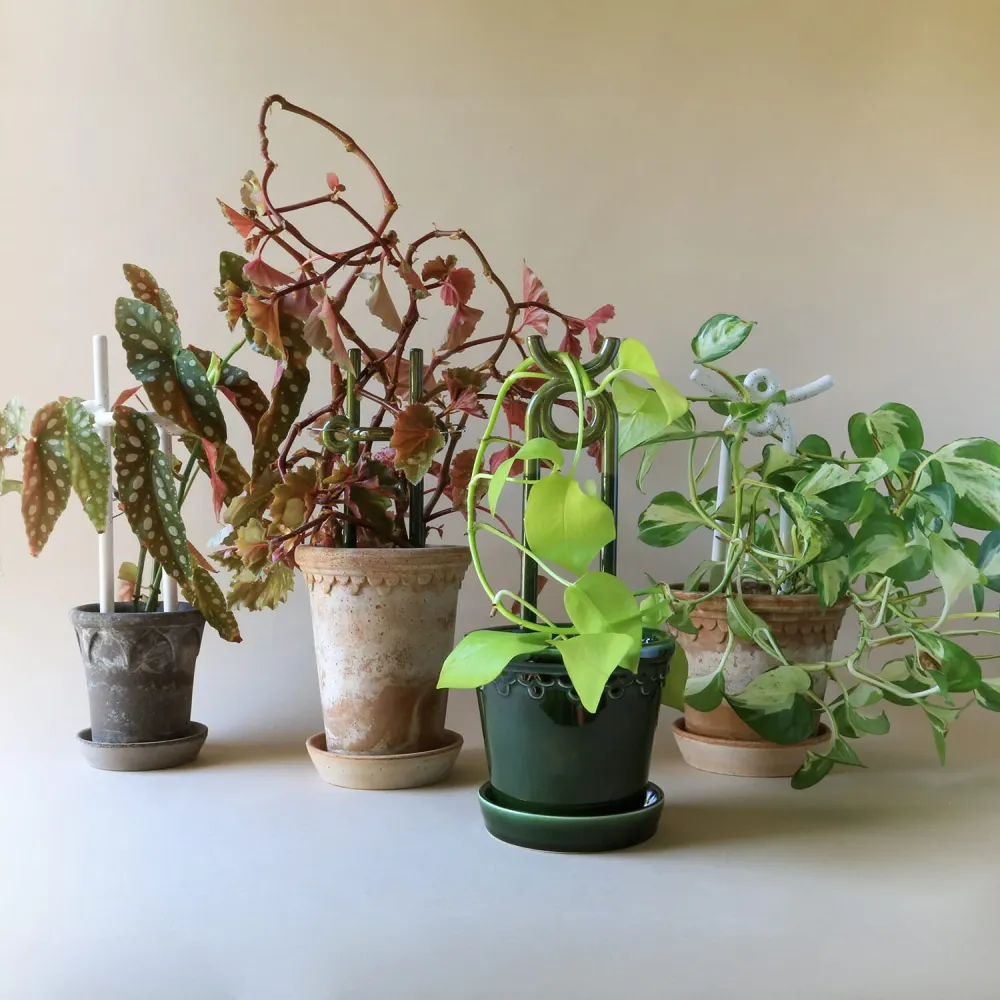 Plantepinne Folk Yuma: Moss Green