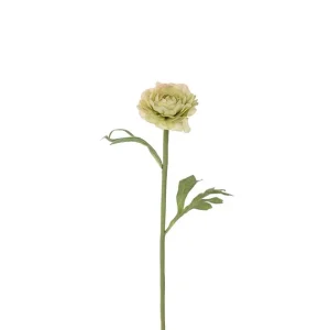 Ranuncel 35 cm