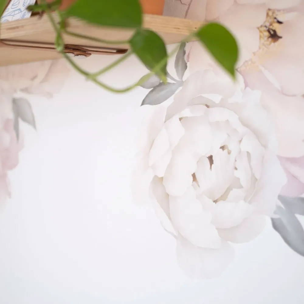 Rosa pion blomster veggklistremerker