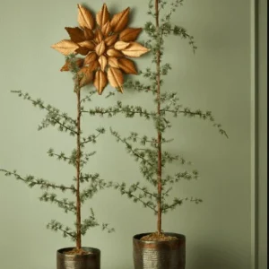 Sedertre m/mose H75cm