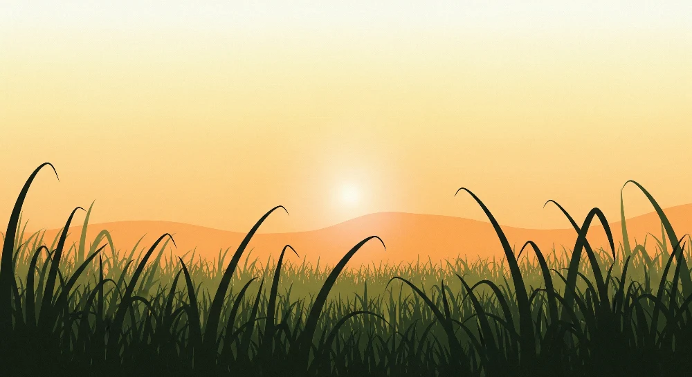 Tapet barnerom | Engstelig landskap ved solnedgang