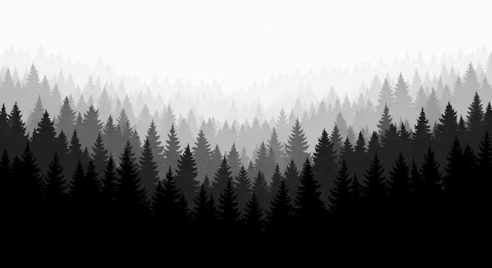 Tapet barnerom | Mystisk skog i svart-hvitt gradient