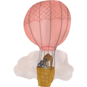 That's Mine Wallsticker Hot Air Balloon Rose