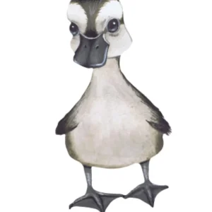 That's Mine Wallsticker Little Duck