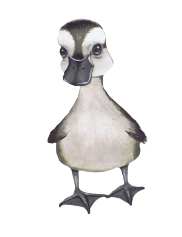 That's Mine Wallsticker Little Duck