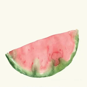 Watermelon - Poster A4