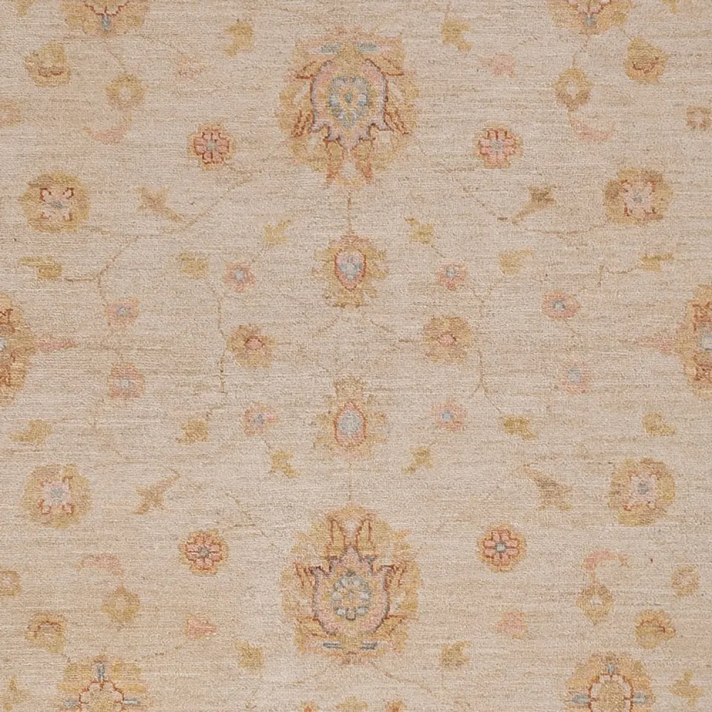 Ziegler Teppe - 291 x 250 cm - beige
