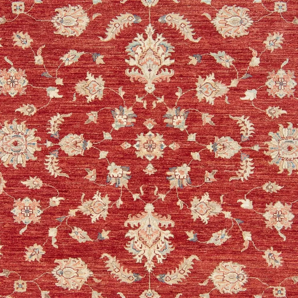 Ziegler Teppe - 295 x 250 cm - mørk rød