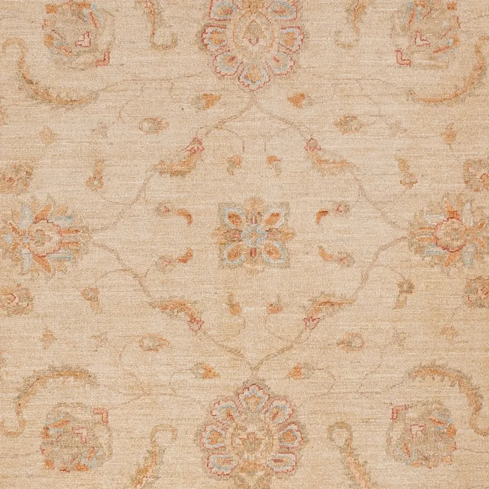 Ziegler Teppe - 295 x 258 cm - beige