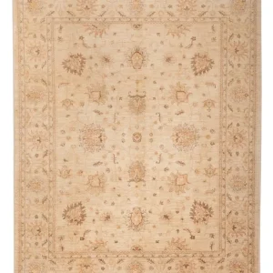 Ziegler Teppe - 298 x 241 cm - beige