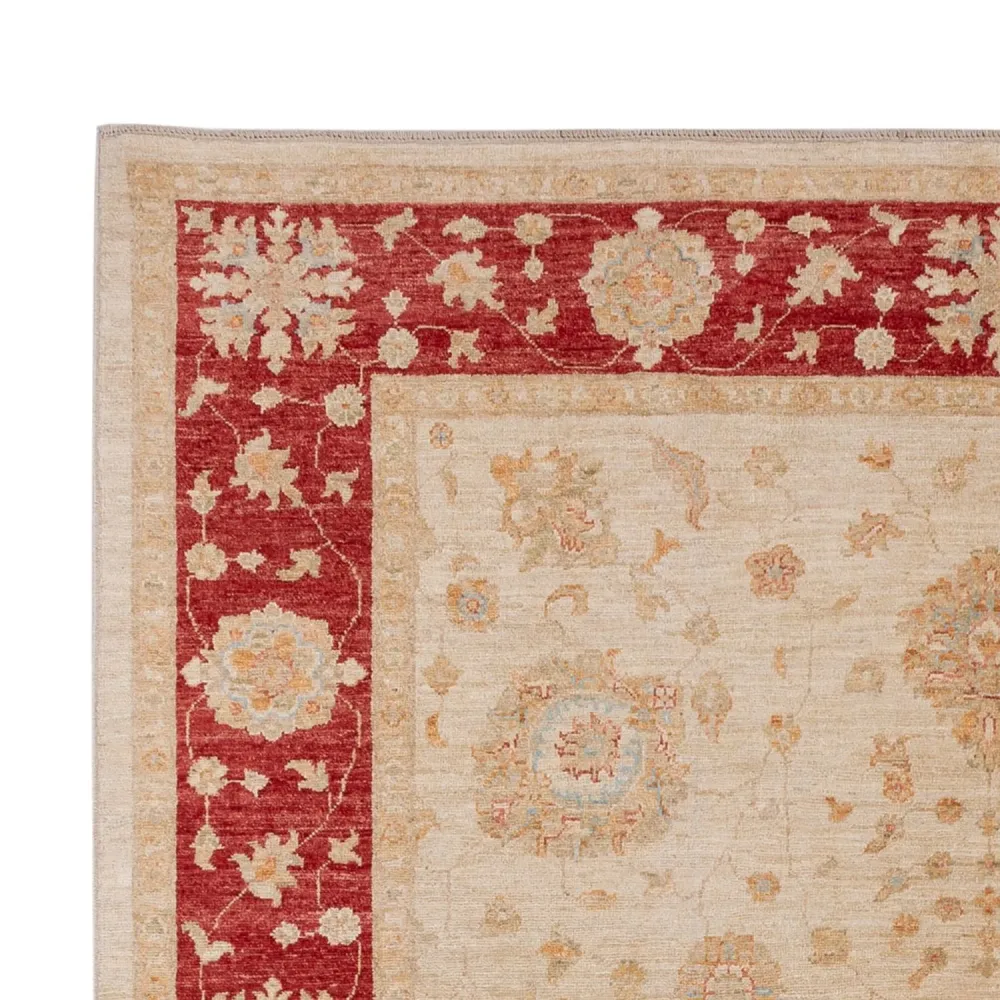 Ziegler Teppe - 299 x 205 cm - beige