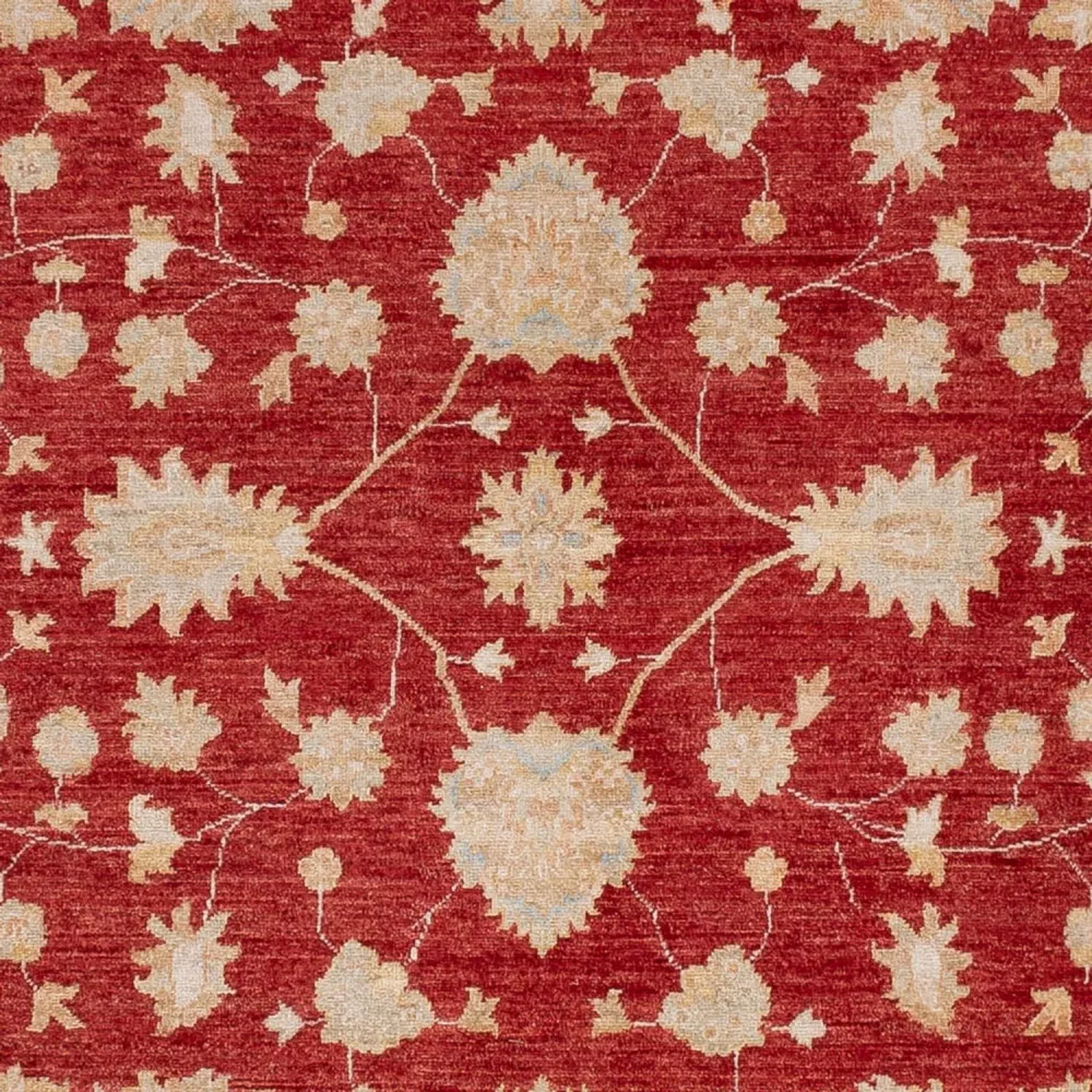 Ziegler Teppe - 299 x 247 cm - rød