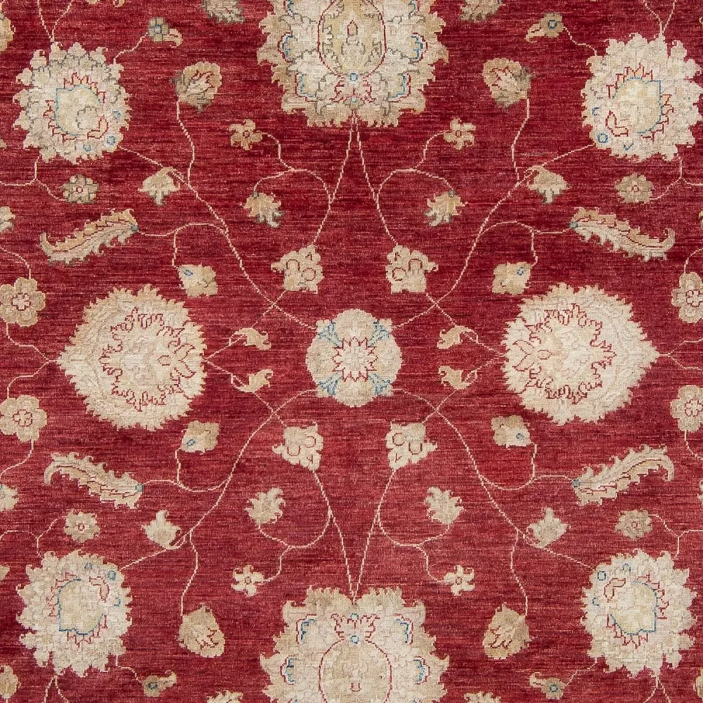 Ziegler Teppe - 300 x 238 cm - rød