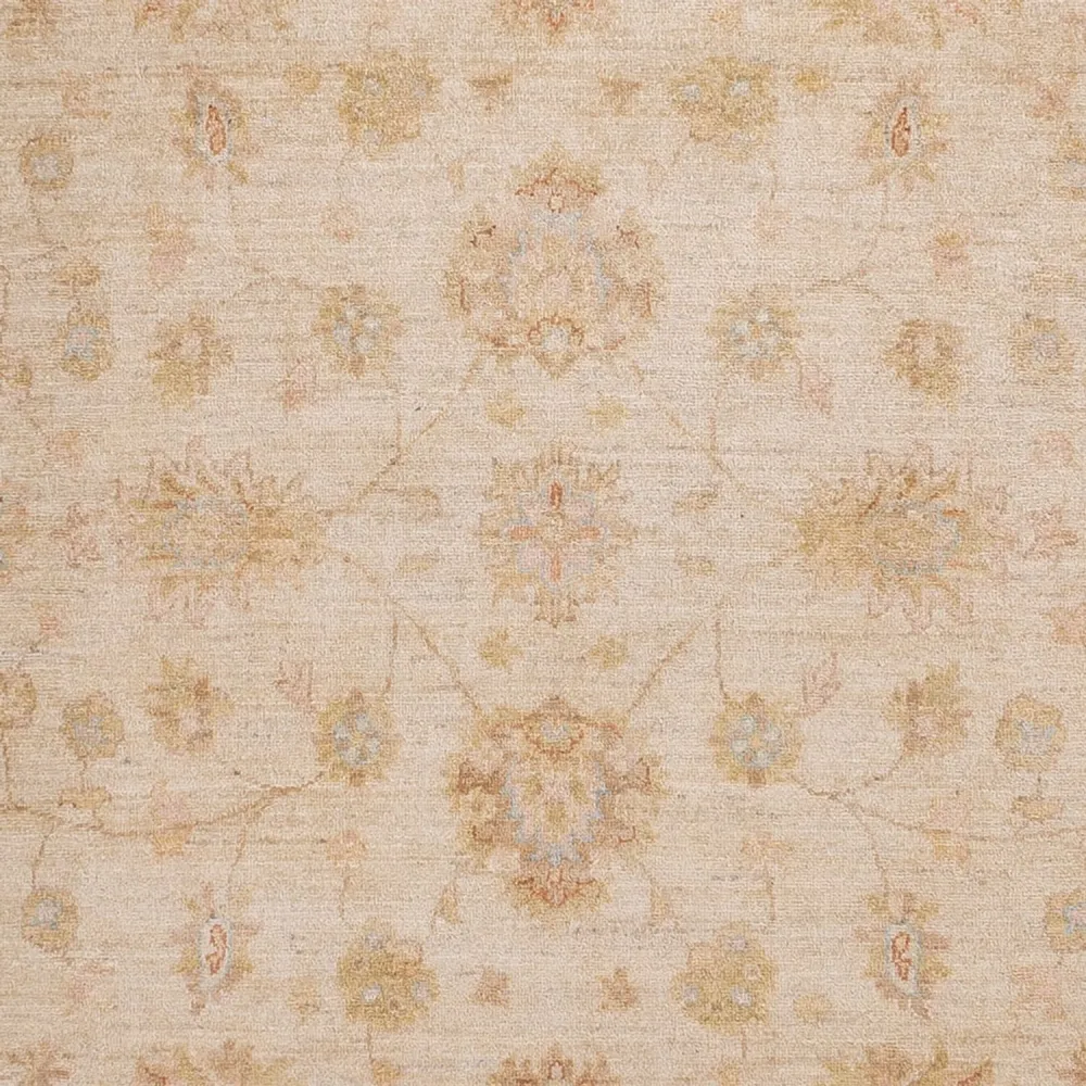 Ziegler Teppe - 301 x 257 cm - beige