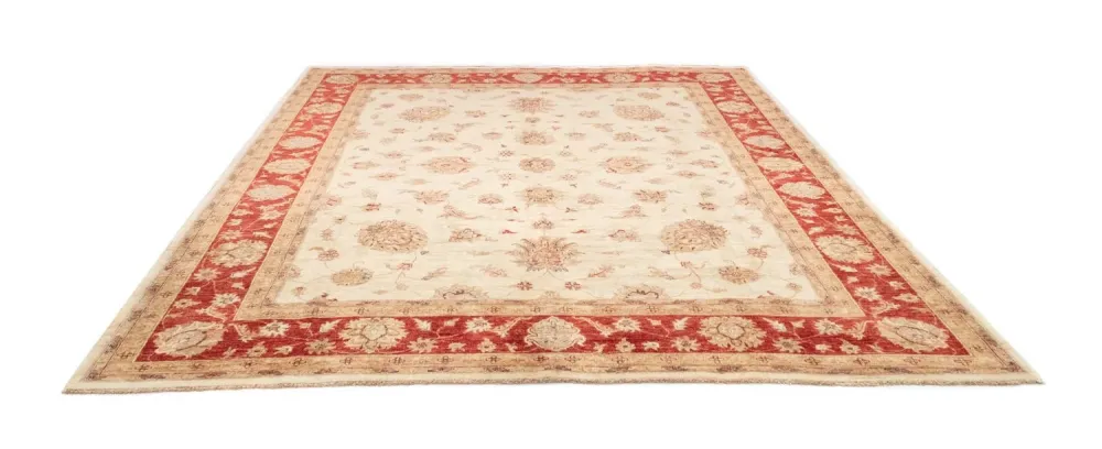 Ziegler Teppe - 302 x 252 cm - beige