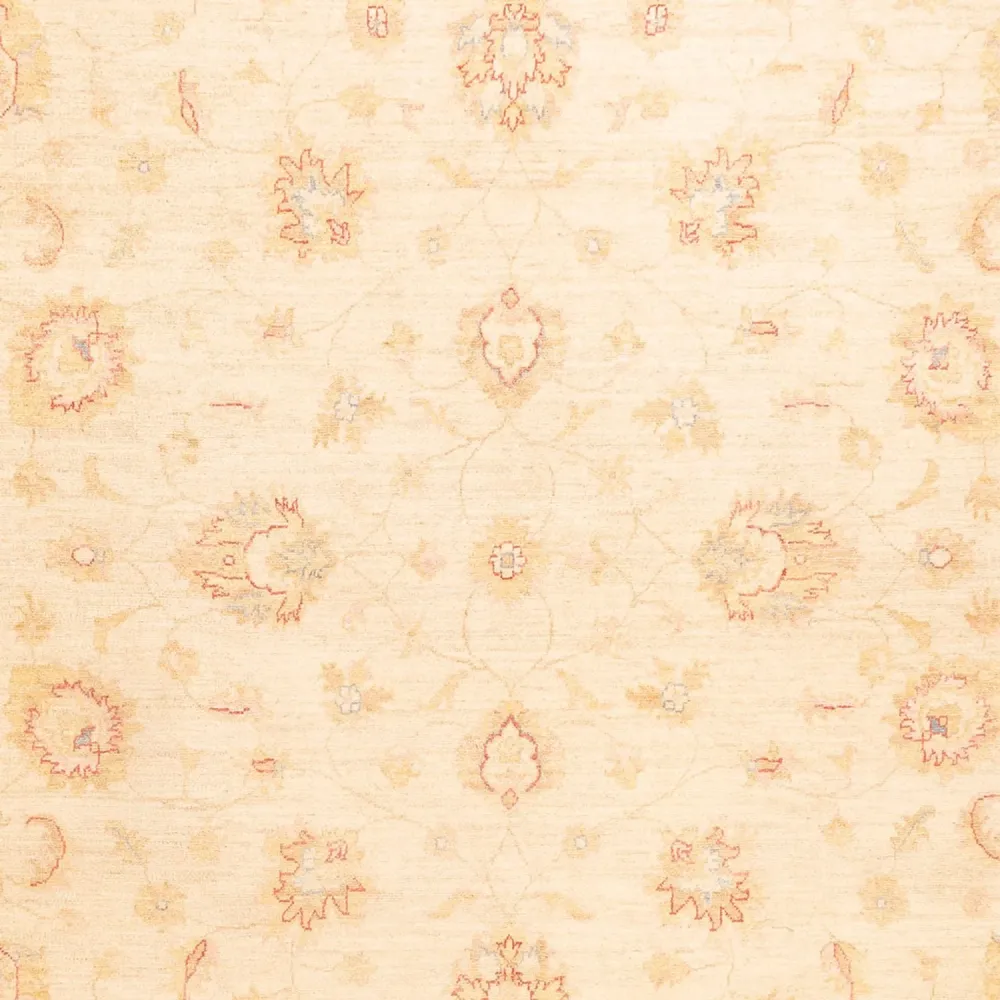 Ziegler Teppe - 338 x 251 cm - beige