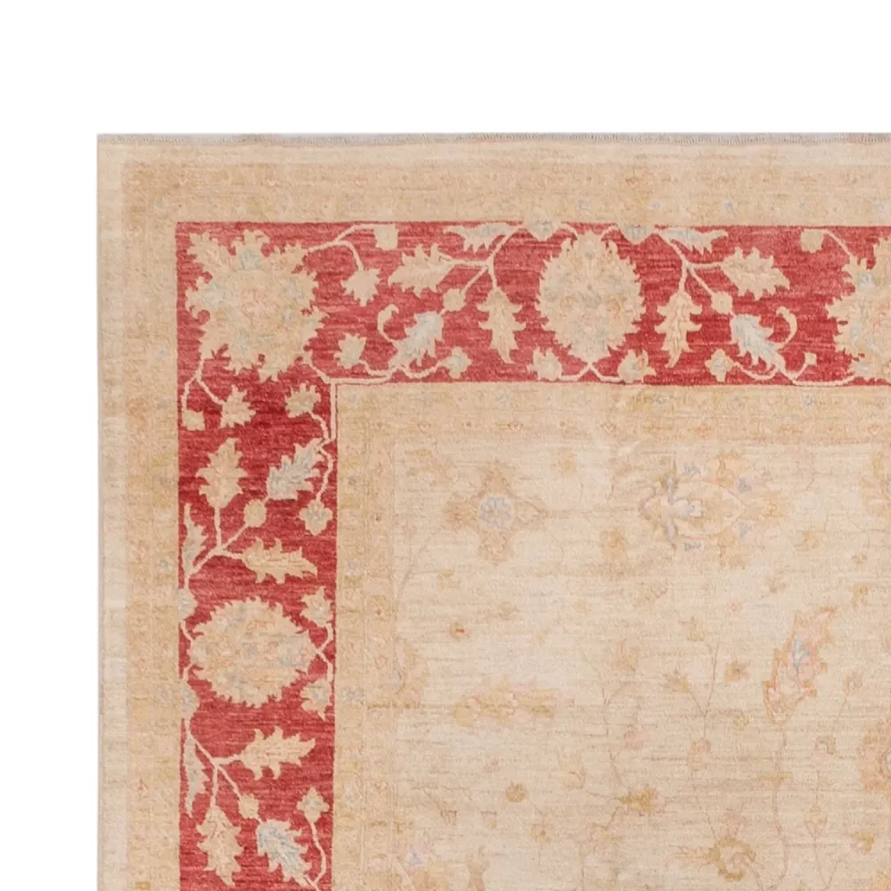 Ziegler Teppe - 494 x 301 cm - beige