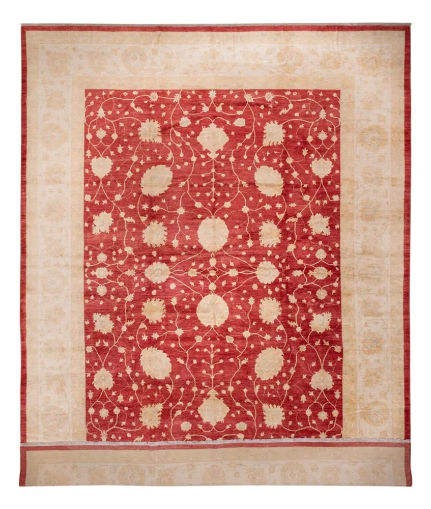 Ziegler Teppe - 521 x 400 cm - beige